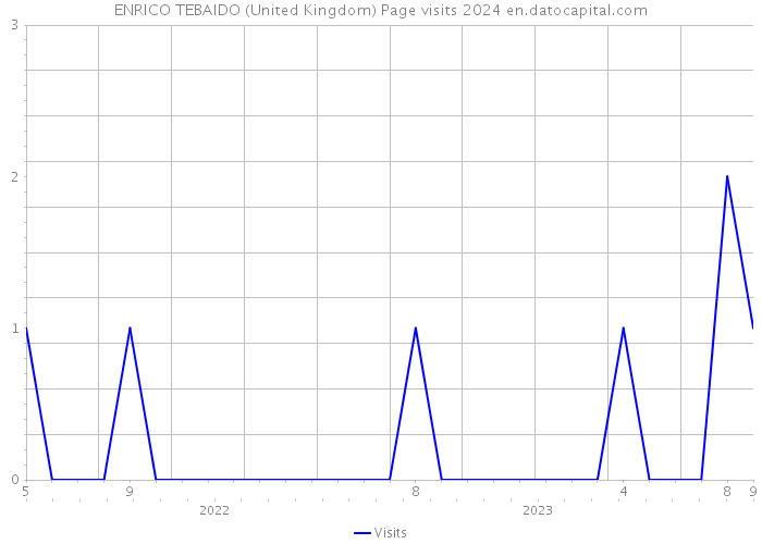 ENRICO TEBAIDO (United Kingdom) Page visits 2024 