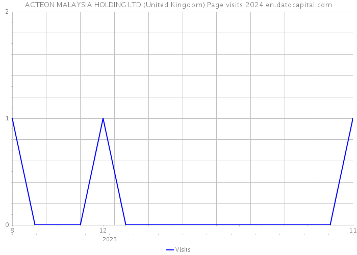 ACTEON MALAYSIA HOLDING LTD (United Kingdom) Page visits 2024 
