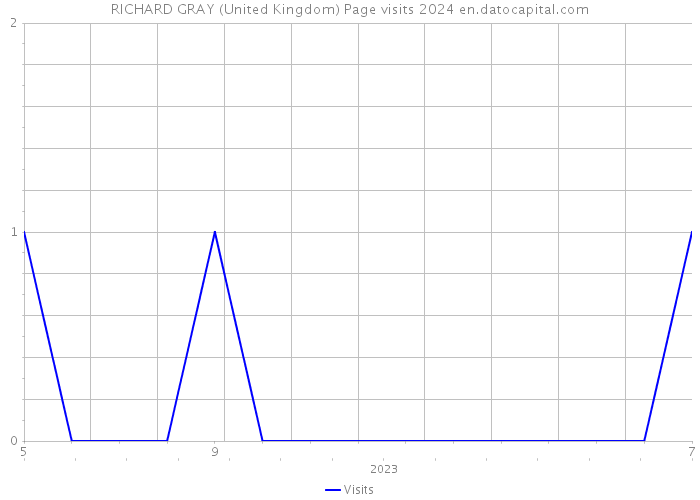 RICHARD GRAY (United Kingdom) Page visits 2024 