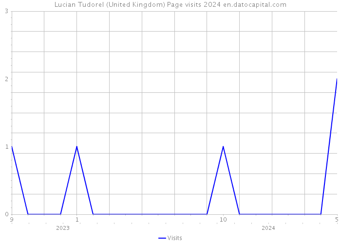 Lucian Tudorel (United Kingdom) Page visits 2024 