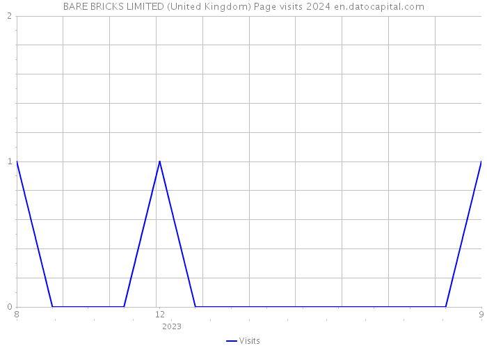 BARE BRICKS LIMITED (United Kingdom) Page visits 2024 