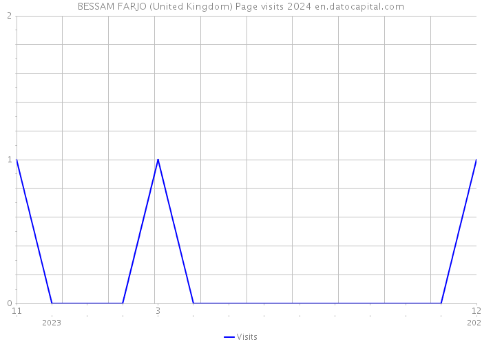 BESSAM FARJO (United Kingdom) Page visits 2024 