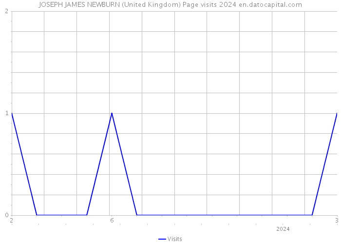 JOSEPH JAMES NEWBURN (United Kingdom) Page visits 2024 
