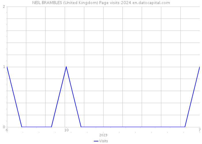 NEIL BRAMBLES (United Kingdom) Page visits 2024 