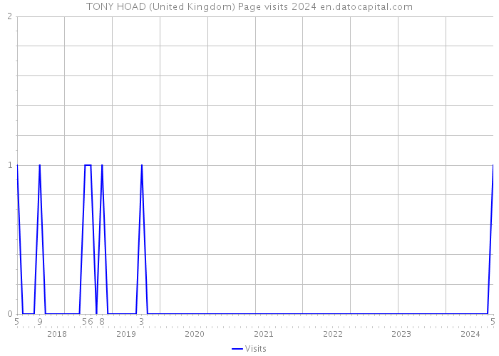 TONY HOAD (United Kingdom) Page visits 2024 