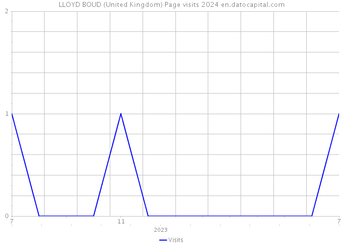 LLOYD BOUD (United Kingdom) Page visits 2024 