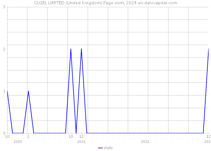 GUZEL LIMITED (United Kingdom) Page visits 2024 