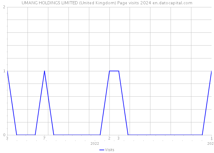 UMANG HOLDINGS LIMITED (United Kingdom) Page visits 2024 