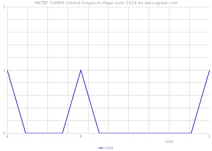 HATEF YAMINI (United Kingdom) Page visits 2024 