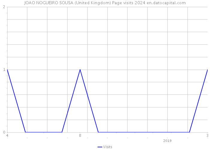 JOAO NOGUEIRO SOUSA (United Kingdom) Page visits 2024 