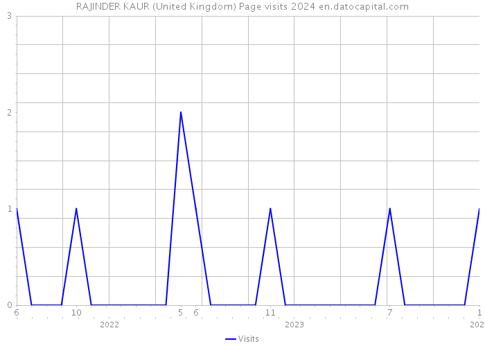 RAJINDER KAUR (United Kingdom) Page visits 2024 