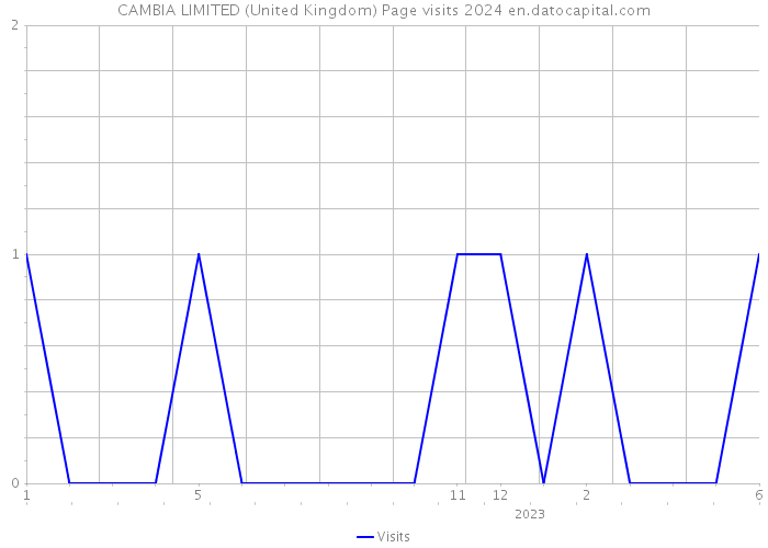CAMBIA LIMITED (United Kingdom) Page visits 2024 