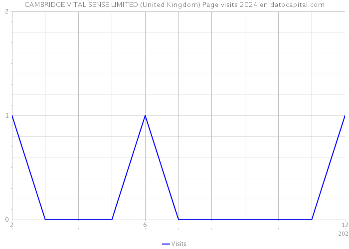 CAMBRIDGE VITAL SENSE LIMITED (United Kingdom) Page visits 2024 