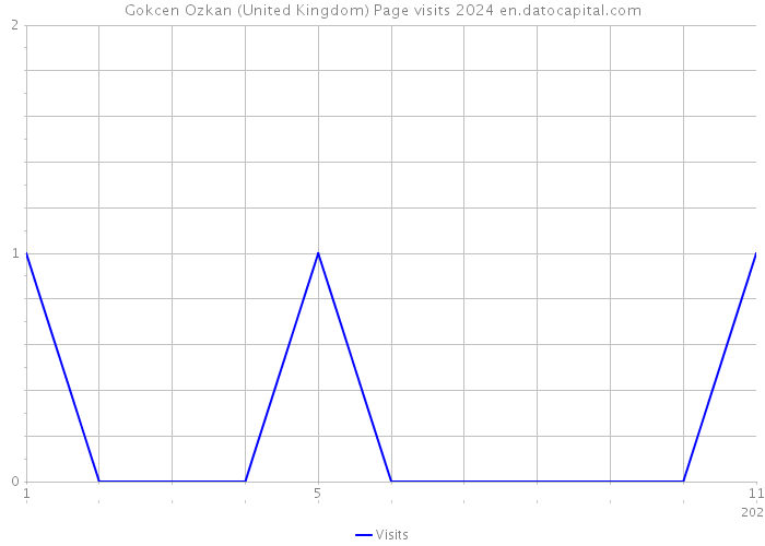 Gokcen Ozkan (United Kingdom) Page visits 2024 