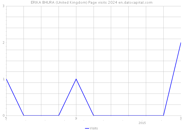 ERIKA BHURA (United Kingdom) Page visits 2024 