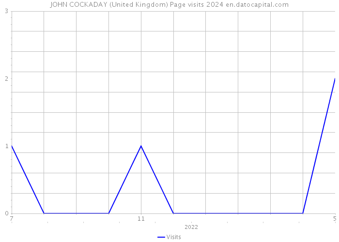JOHN COCKADAY (United Kingdom) Page visits 2024 