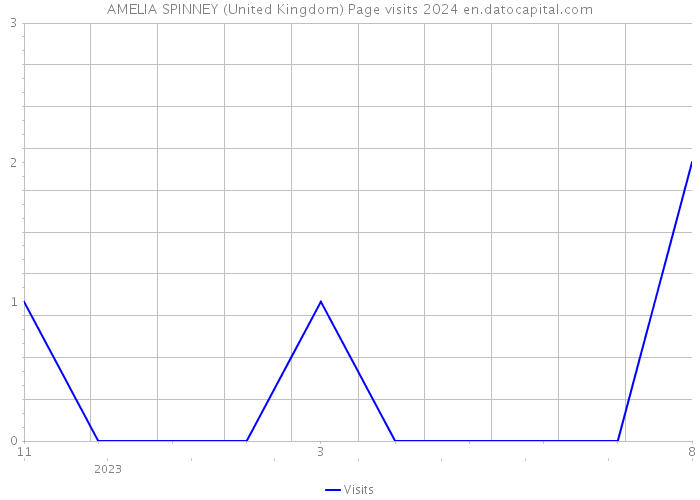 AMELIA SPINNEY (United Kingdom) Page visits 2024 