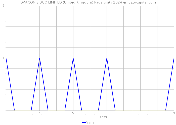 DRAGON BIDCO LIMITED (United Kingdom) Page visits 2024 