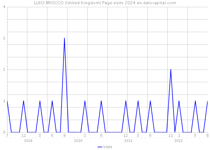 LUIGI BROCCO (United Kingdom) Page visits 2024 