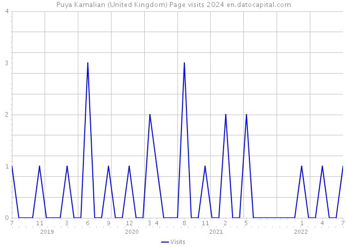 Puya Kamalian (United Kingdom) Page visits 2024 