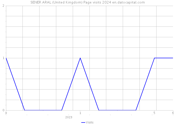 SENER ARAL (United Kingdom) Page visits 2024 