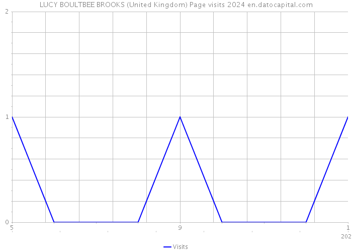 LUCY BOULTBEE BROOKS (United Kingdom) Page visits 2024 
