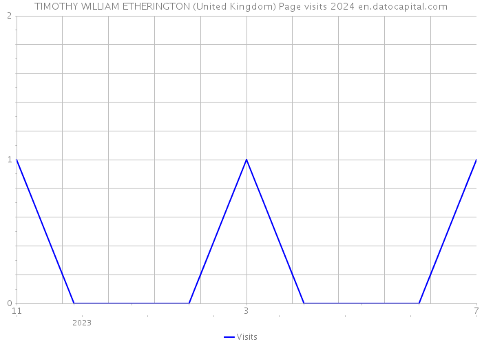 TIMOTHY WILLIAM ETHERINGTON (United Kingdom) Page visits 2024 