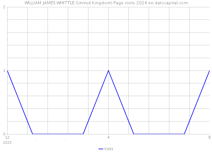 WILLIAM JAMES WHITTLE (United Kingdom) Page visits 2024 