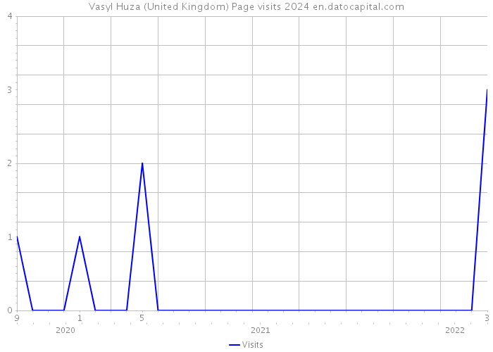 Vasyl Huza (United Kingdom) Page visits 2024 