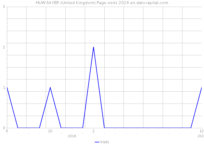 HUW SAYER (United Kingdom) Page visits 2024 