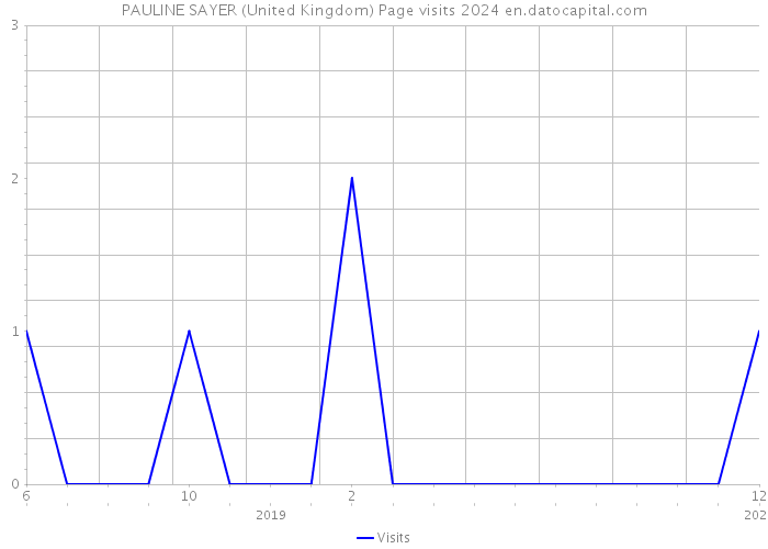 PAULINE SAYER (United Kingdom) Page visits 2024 