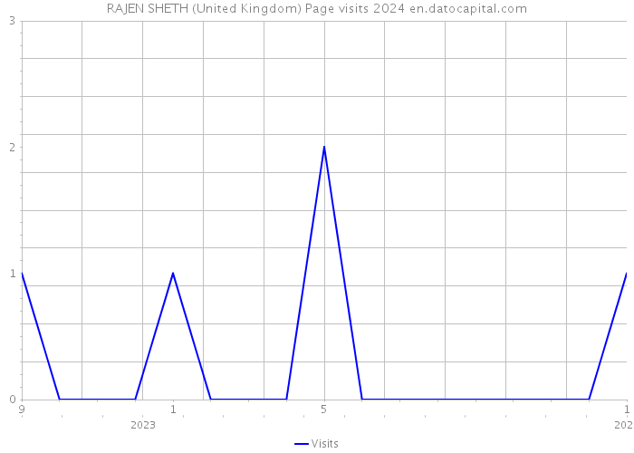 RAJEN SHETH (United Kingdom) Page visits 2024 