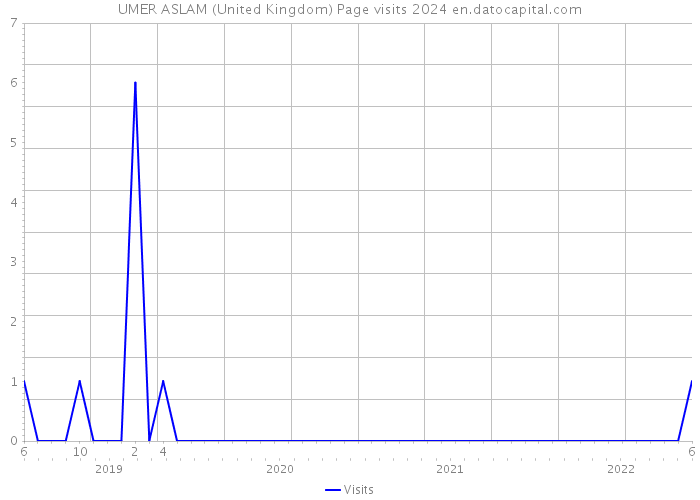 UMER ASLAM (United Kingdom) Page visits 2024 