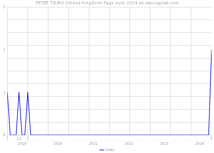 PETER TSURO (United Kingdom) Page visits 2024 