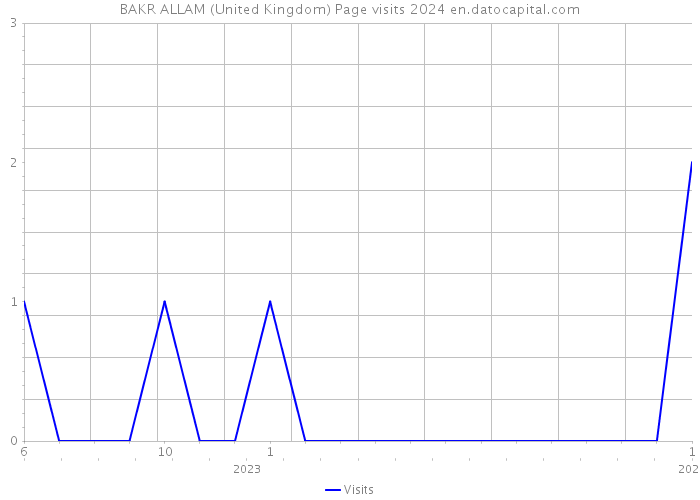 BAKR ALLAM (United Kingdom) Page visits 2024 