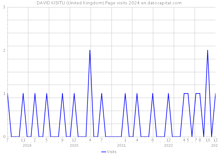 DAVID KISITU (United Kingdom) Page visits 2024 