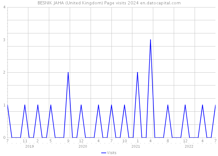 BESNIK JAHA (United Kingdom) Page visits 2024 