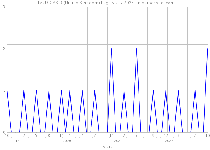 TIMUR CAKIR (United Kingdom) Page visits 2024 