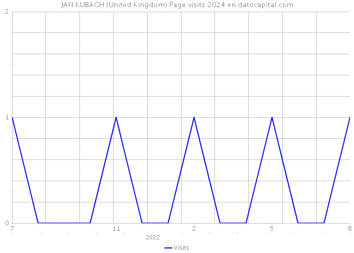 JAN KUBACH (United Kingdom) Page visits 2024 
