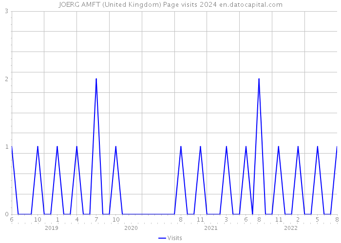 JOERG AMFT (United Kingdom) Page visits 2024 