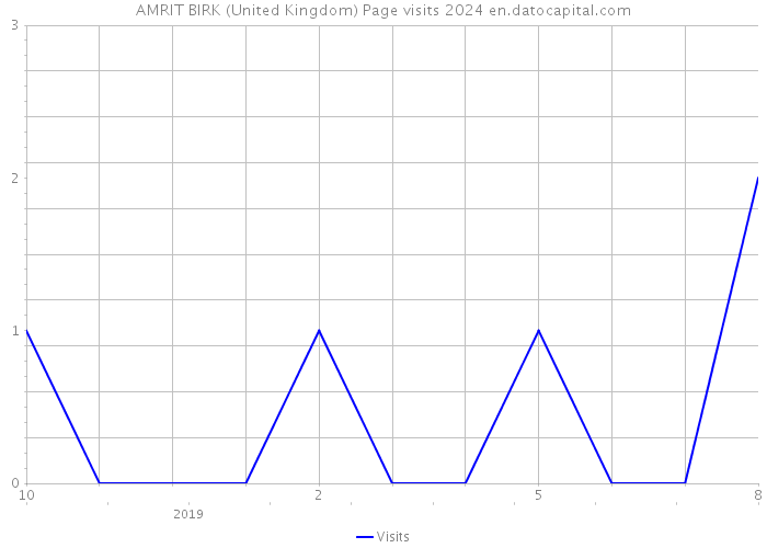 AMRIT BIRK (United Kingdom) Page visits 2024 