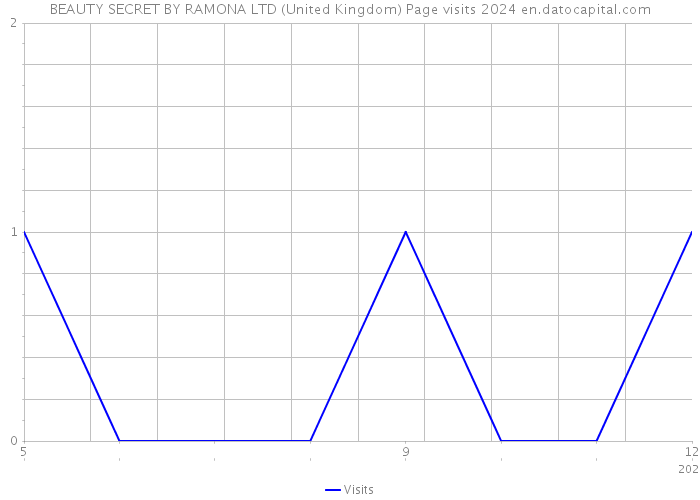 BEAUTY SECRET BY RAMONA LTD (United Kingdom) Page visits 2024 