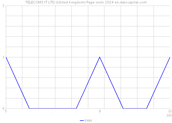 TELECOMS IT LTD (United Kingdom) Page visits 2024 