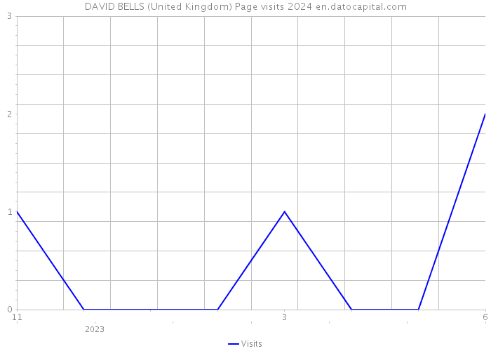 DAVID BELLS (United Kingdom) Page visits 2024 