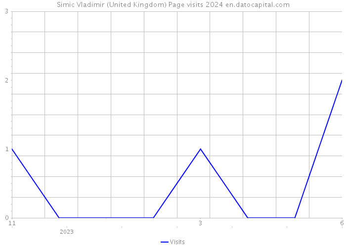 Simic Vladimir (United Kingdom) Page visits 2024 