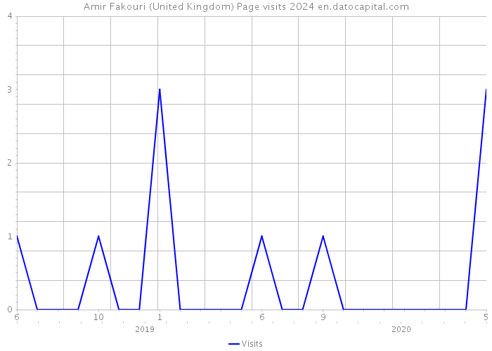 Amir Fakouri (United Kingdom) Page visits 2024 