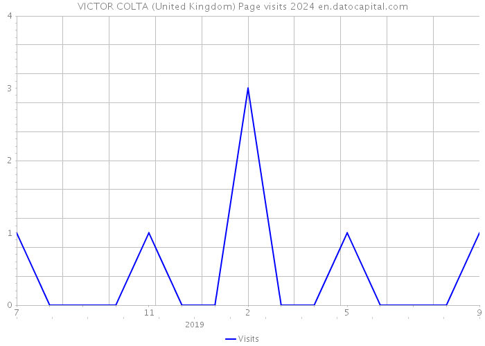 VICTOR COLTA (United Kingdom) Page visits 2024 
