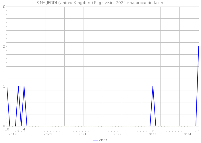 SINA JEDDI (United Kingdom) Page visits 2024 