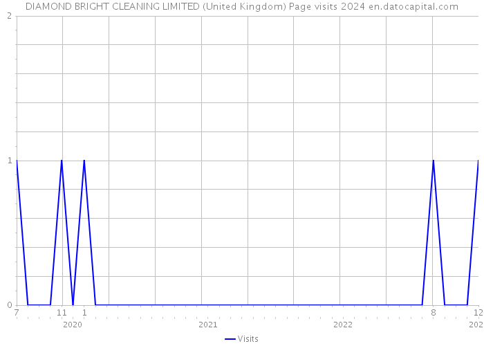 DIAMOND BRIGHT CLEANING LIMITED (United Kingdom) Page visits 2024 
