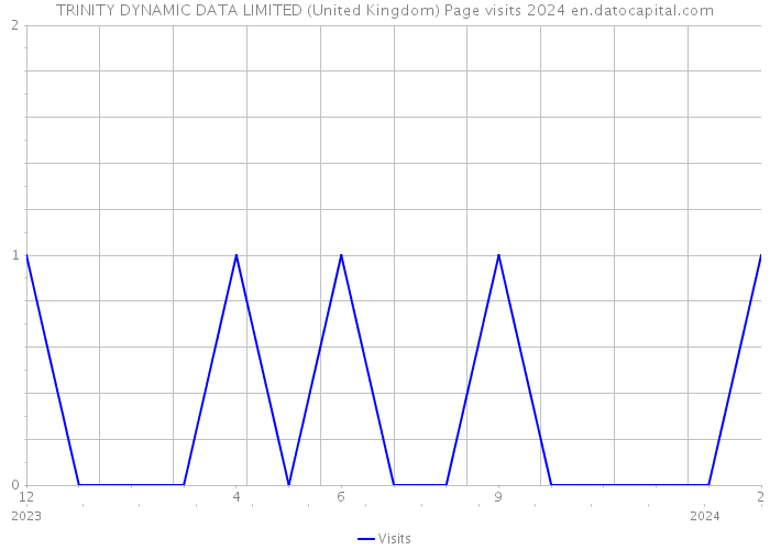 TRINITY DYNAMIC DATA LIMITED (United Kingdom) Page visits 2024 